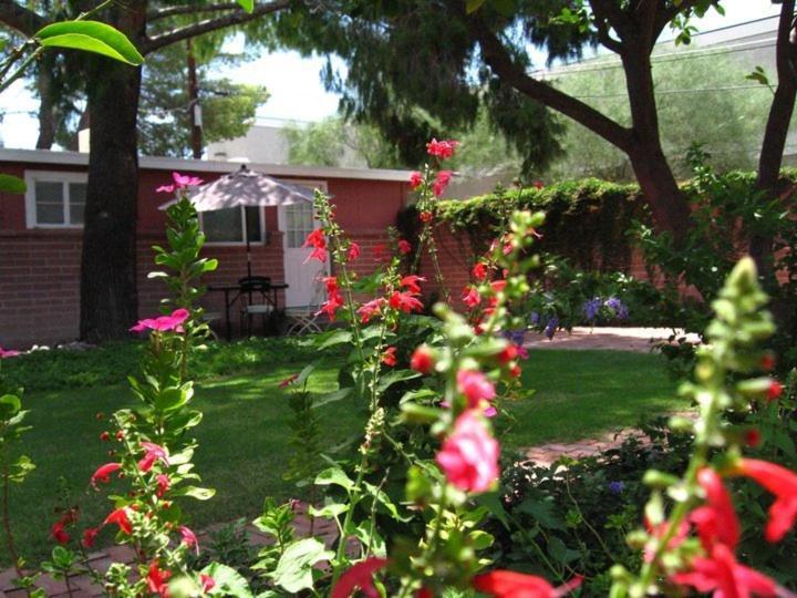 Mon Ami Bed And Breakfast Tucson Bilik gambar